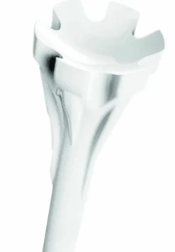 Champ White Zarma Fly Tee 44Mm 7 Champ White Zarma Fly Tee 44Mm -Golf Accessories Sales Store IMG 1482 2